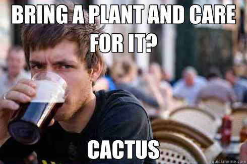 BRING A PLANT AND CARE FOR IT? CACTUS - Lazy College Senior