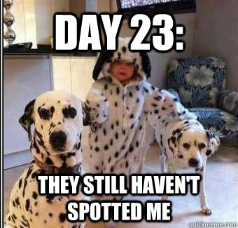 day 23 they still havent spotted me -