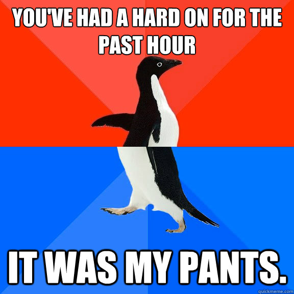 youve had a hard on for the past hour it was my pants - Socially Awesome Awkward Penguin