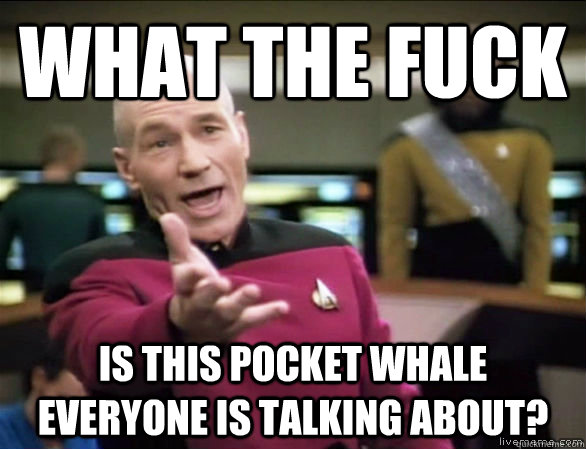what the fuck is this pocket whale everyone is talking about - Annoyed Picard HD