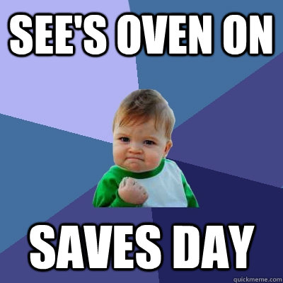 sees oven on saves day - Success Kid