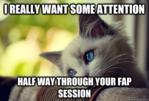 i really want some attention half way through your fap sessi - First World Cat Problems