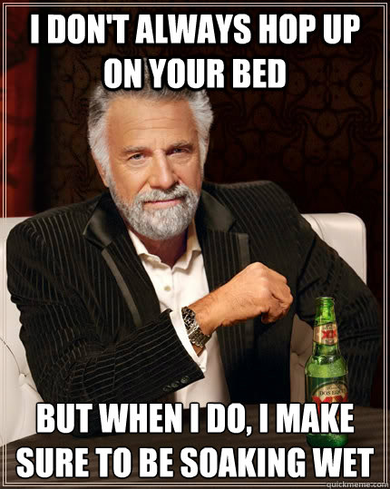 i dont always hop up on your bed but when i do i make sure - The Most Interesting Man In The World