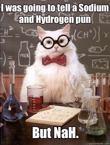 I was going to tell a Sodium and Hydrogen pun But NaH - Chemistry Cat