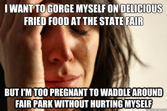 i want to gorge myself on delicious fried food at the state - First World Problems