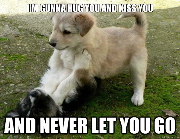 Im Gunna Hug You And Kiss You And Never Let You Go - Dogs