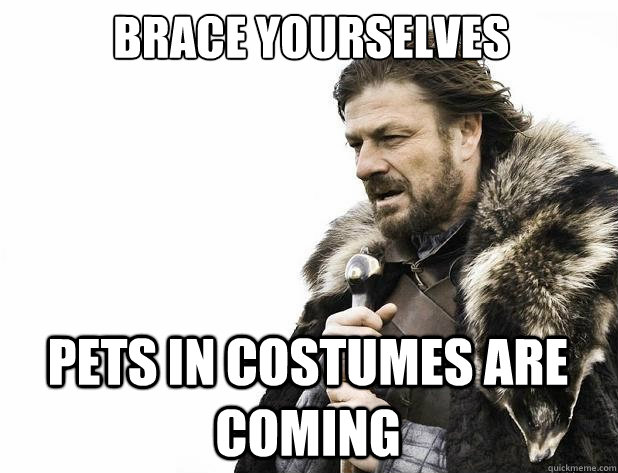 brace yourselves pets in costumes are coming - Brace Yourself