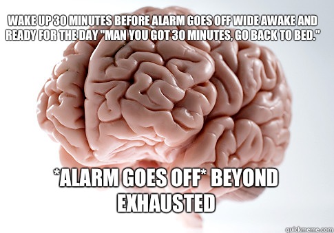 Wake up 30 minutes before alarm goes off wide awake and read - Scumbag Brain