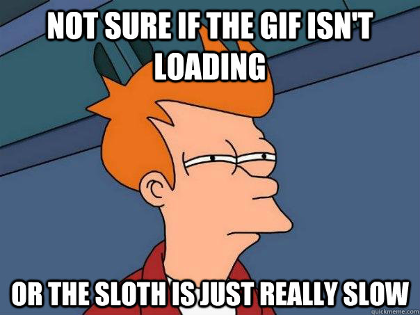 not sure if the gif isnt loading or the sloth is just reall - Futurama Fry