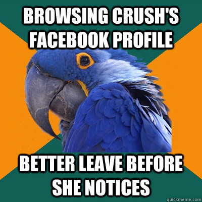 browsing crushs facebook profile better leave before she no - Paranoid Parrot