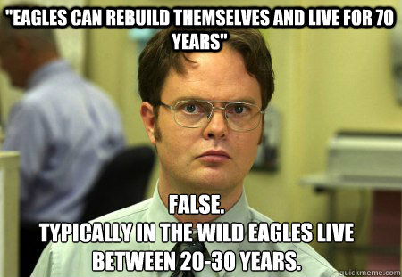 eagles can rebuild themselves and live for 70 years false - Schrute