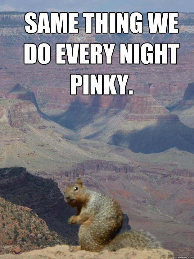 same thing we do every night pinky - Try to take over the World