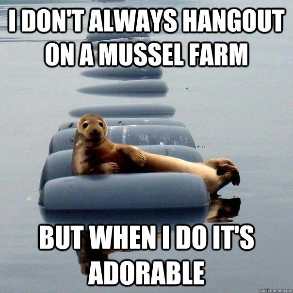 i dont always hangout on a mussel farm but when i do its a -