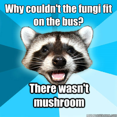 why couldnt the fungi fit on the bus there wasnt mushroom - Lame Pun Coon