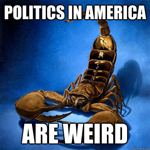 politics in america are weird -
