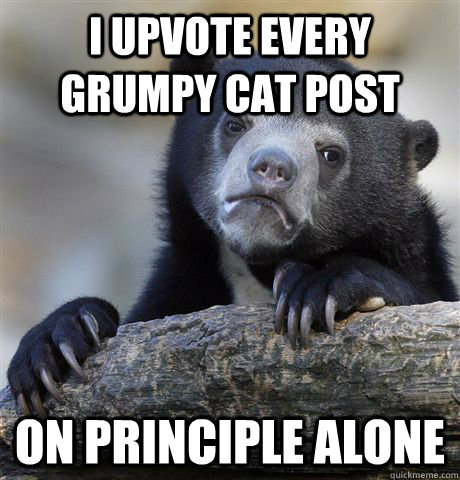 i upvote every grumpy cat post on principle alone - Confession Bear