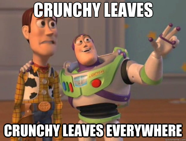 crunchy leaves crunchy leaves everywhere - Toy Story