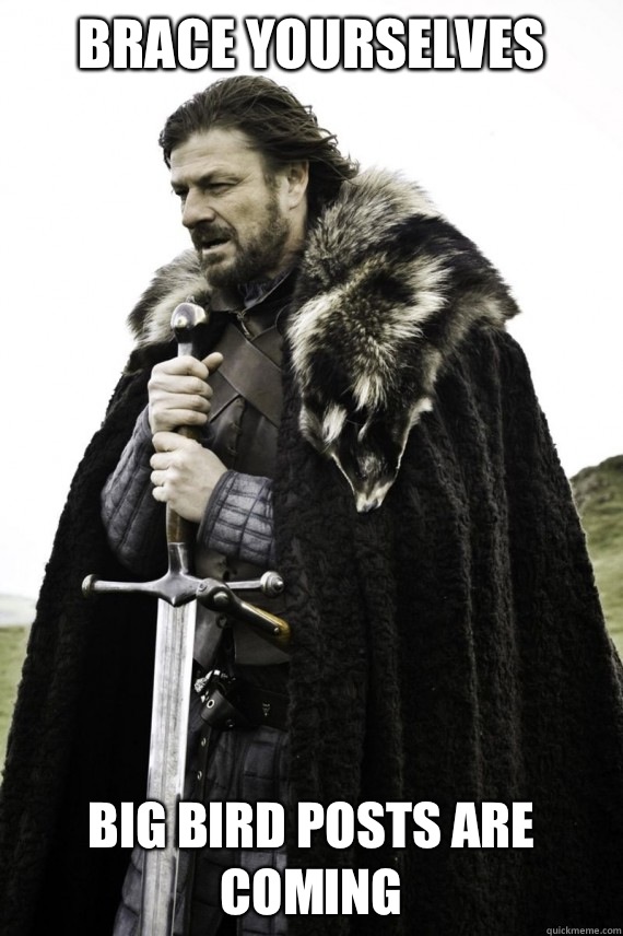 Brace yourselves imgur is down - Brace yourself