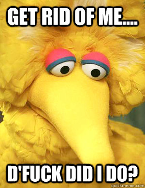 get rid of me dfuck did i do - Big Bird