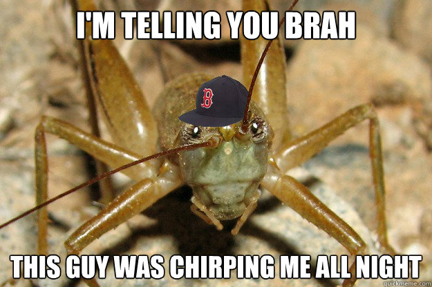 im telling you brah this guy was chirping me all night - Fraternity Cricket