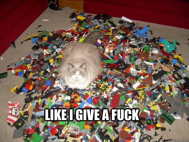 like i give a fuck - Guess