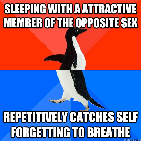 sleeping with a attractive member of the opposite sex repeti - Socially Awesome Awkward Penguin