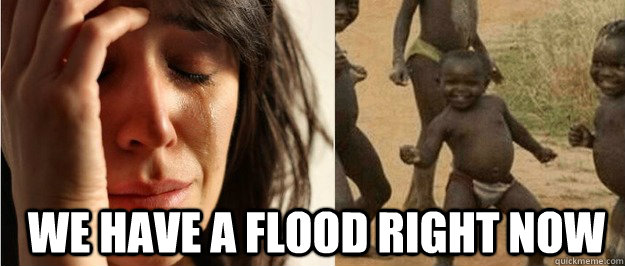 we have a flood right now - First world problem third world success
