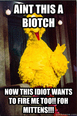 aint this a biotch now this idiot wants to fire me too foh - too Big Bird