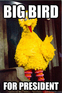 big bird for president - too Big Bird