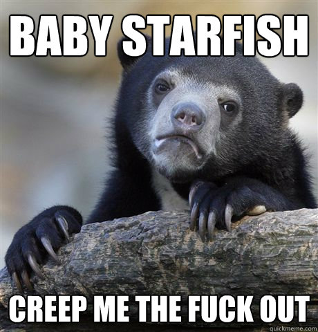 baby starfish creep me the fuck out - Confession Bear