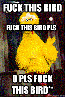 fuck this bird o pls fuck this bird fuck this bird pls - too Big Bird