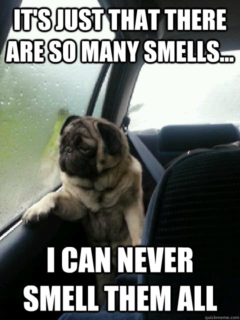 its just that there are so many smells i can never smell -