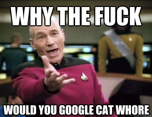 why the fuck would you google cat whore - Annoyed Picard HD