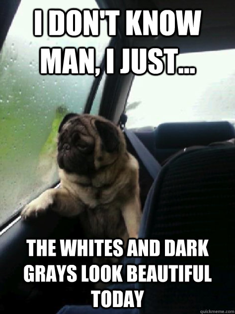 i dont know man i just the whites and dark grays look b - Introspective Pug