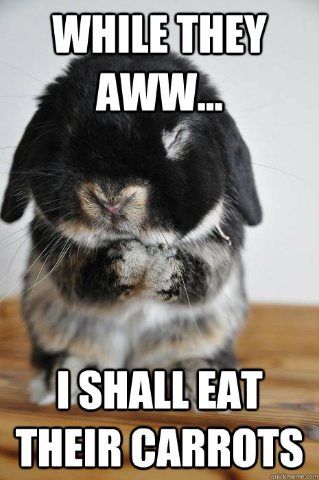 while they aww i shall eat their carrots - Conspiring Bunny