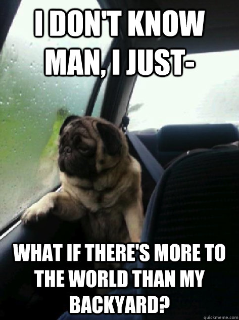 i dont know man i just what if theres more to the world - Introspective Pug