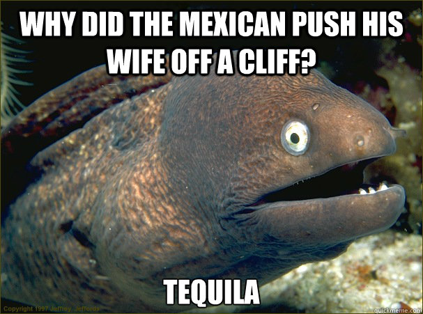 why did the mexican push his wife off a cliff tequila - Bad Joke Eel