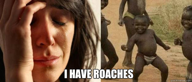 i have roaches - First World Problems Third World Success