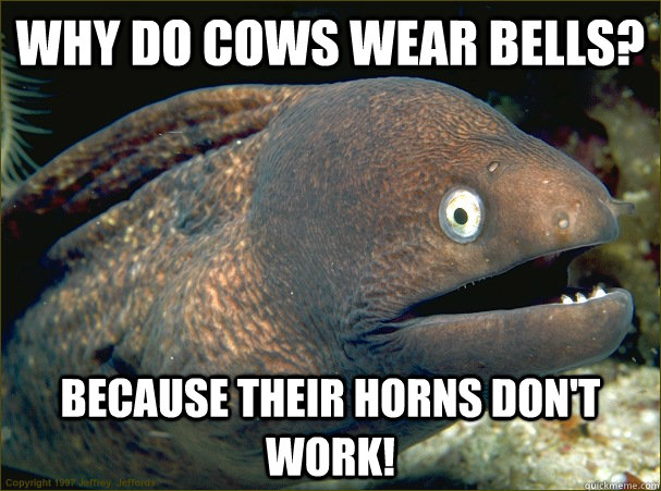why do cows wear bells because their horns dont work - Bad Joke Eel