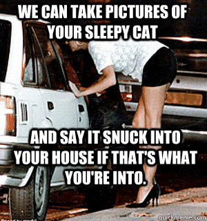 we can take pictures of your sleepy cat and say it snuck int - Karma Whore
