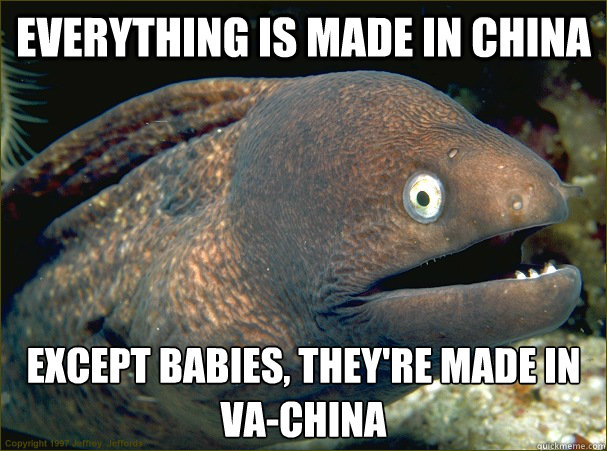 everything is made in china except babies theyre made in v - Bad Joke Eel