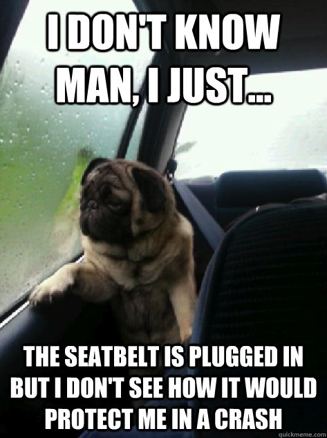 i dont know man i just the seatbelt is plugged in but i - Introspective Pug