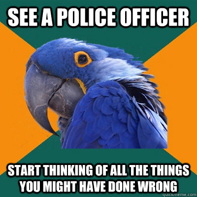 see a police officer start thinking of all the things you mi - Paranoid Parrot