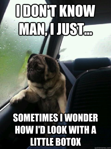 i dont know man i just sometimes i wonder how id look - Introspective Pug