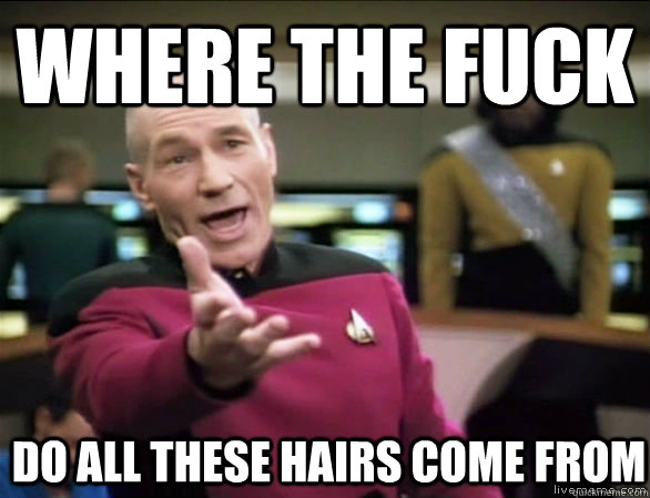where the fuck do all these hairs come from - Annoyed Picard HD