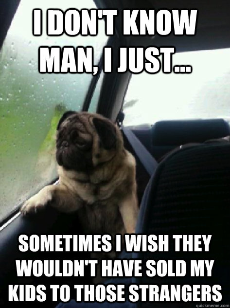 i dont know man i just sometimes i wish they wouldnt h - Introspective dog