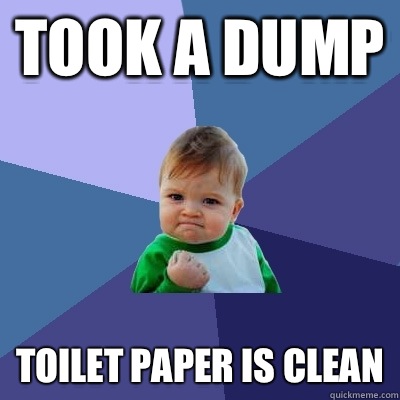 Took a dump Toilet paper is clean - Success Kid