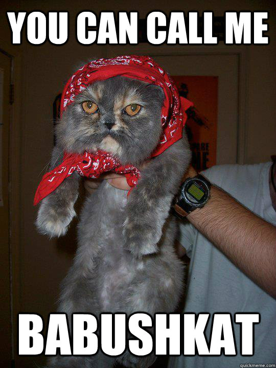 you can call me babushkat - Soviet Cat