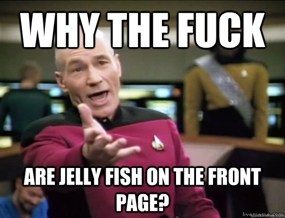 why the fuck are jelly fish on the front page - Annoyed Picard HD