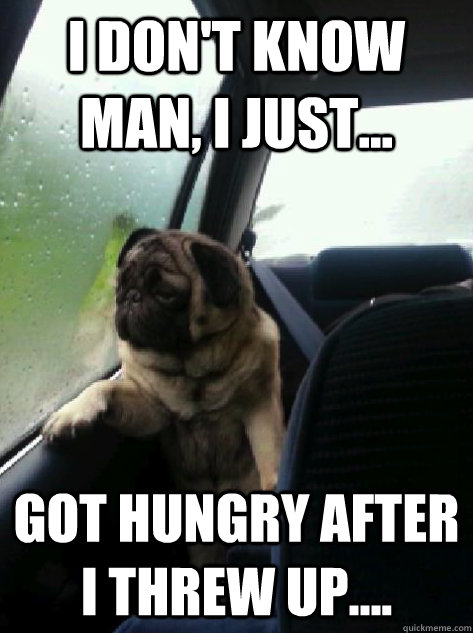 i dont know man i just got hungry after i threw up - Introspective Pug